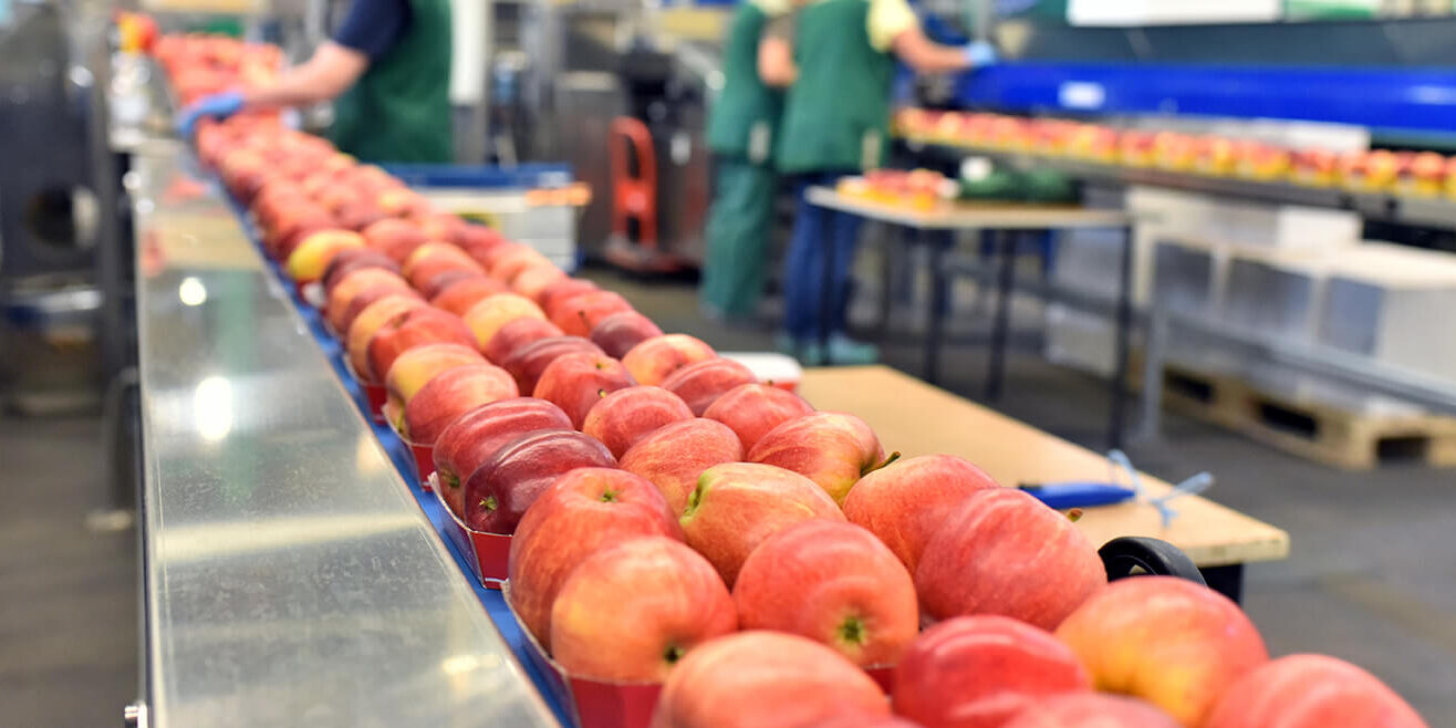 Äpfel auf dem Fliessband in einer Lebensmittelfabrik zum Versan